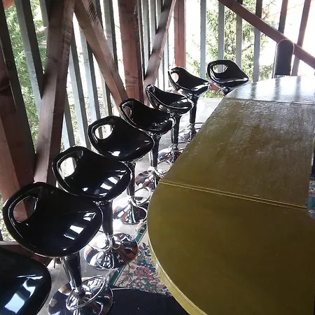 Guest house Gonzo 2*
