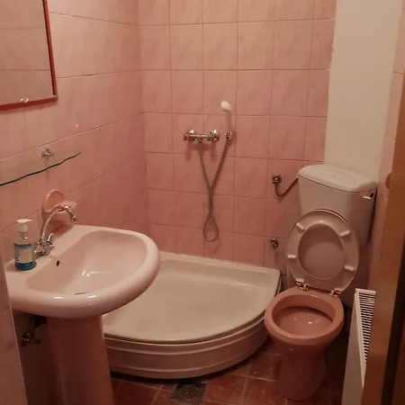 Guest house Gonzo 2*