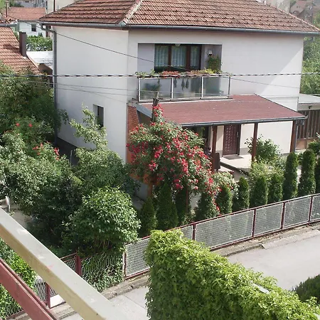 Gonzo 2* Сараево