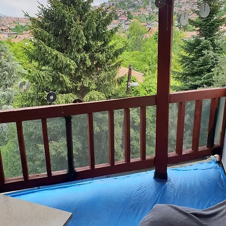 Guest house Gonzo 2*