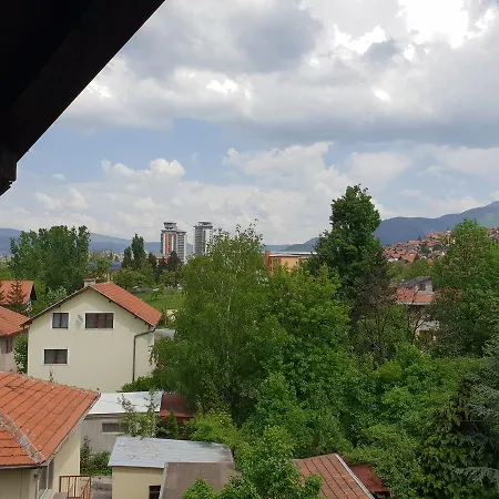 Gonzo Сараево