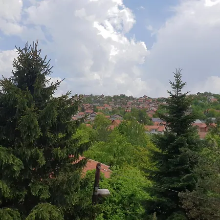Gonzo ゲストハウス 2*