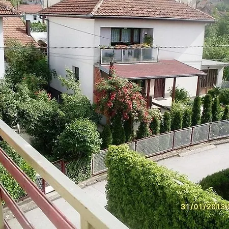 Gonzo Guest house