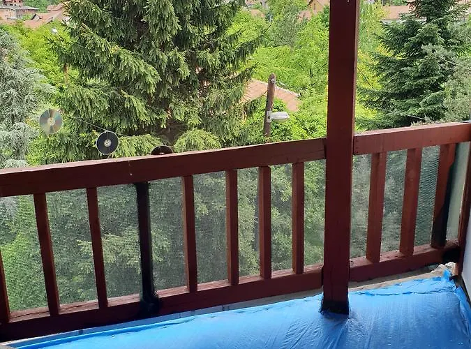 Guest house Gonzo 2*